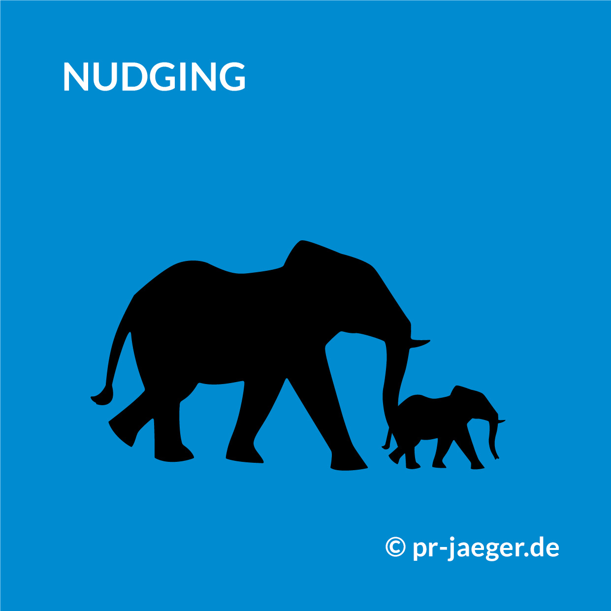 Nudging_NEU